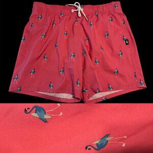 Hollister Men’s Medium  Swim Trunks  5.5”  Shorts Surfer Flamingo Pink Surfboard